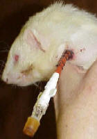Ben with his feeding tube - click to enlarge